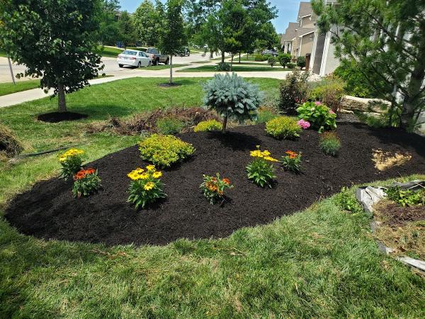Ilia Landscape LLC
