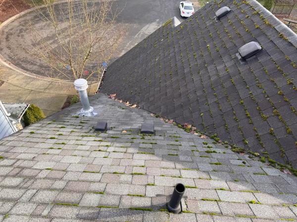PNW Roof Cleaning & Pressure Washing