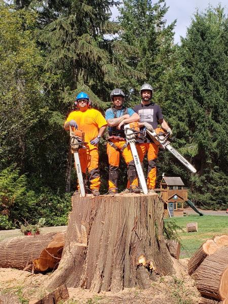 Arborsmith Pro Tree Service Inc.