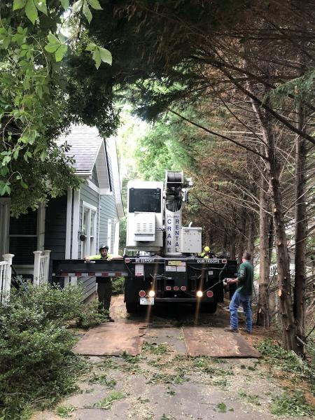 Greenville Tree Co.