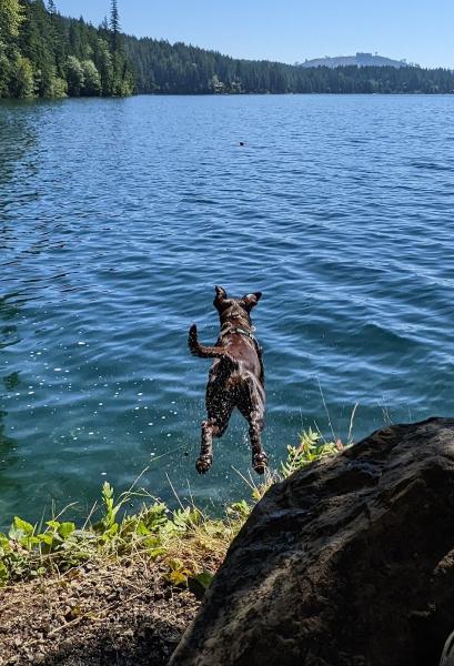 Fetch-22