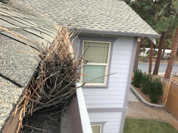 Sunshine Window Cleaning