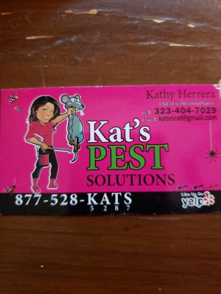 Kat's Pest Solutions