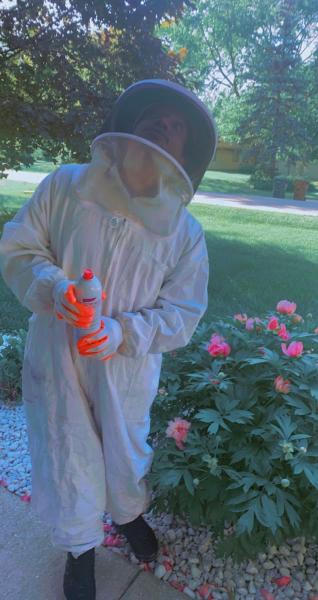 R.B. Pest Solutions