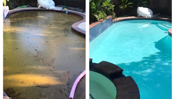 Poolfessionals