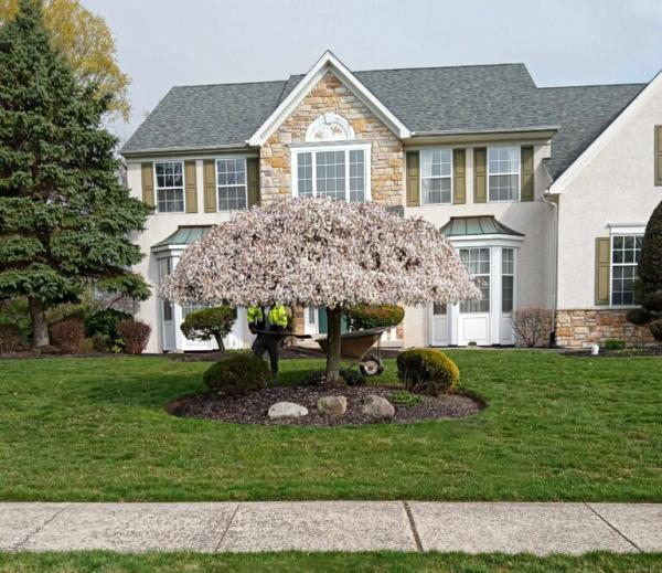Nestor Landscaping and Tree