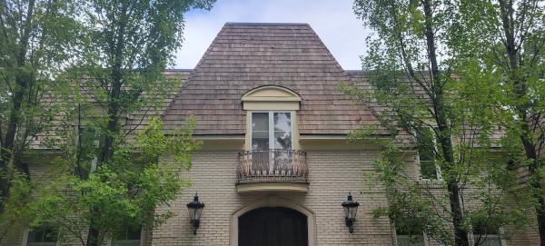 Delta Pressure Washing