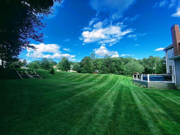 Tierra Landscaping and Snow Removal Inc