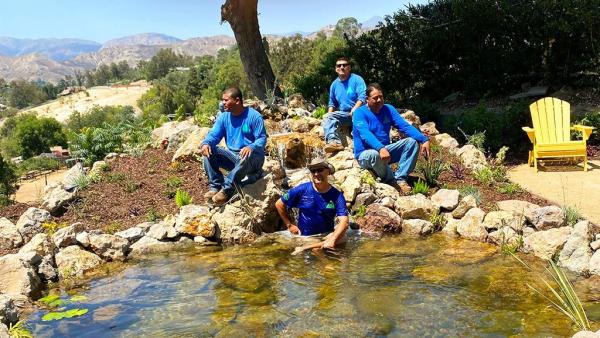 Dreamscapes Water Features and Landscaping