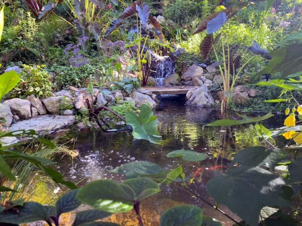 Dreamscapes Water Features and Landscaping
