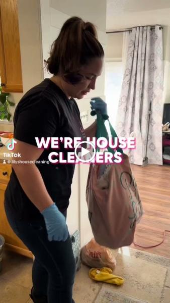 Lily's House Cleaning