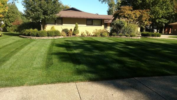 Straight A Landscaping