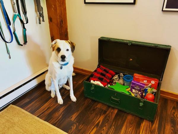 Sorted Home Organizing