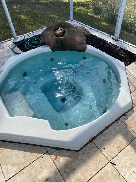 Pool Services