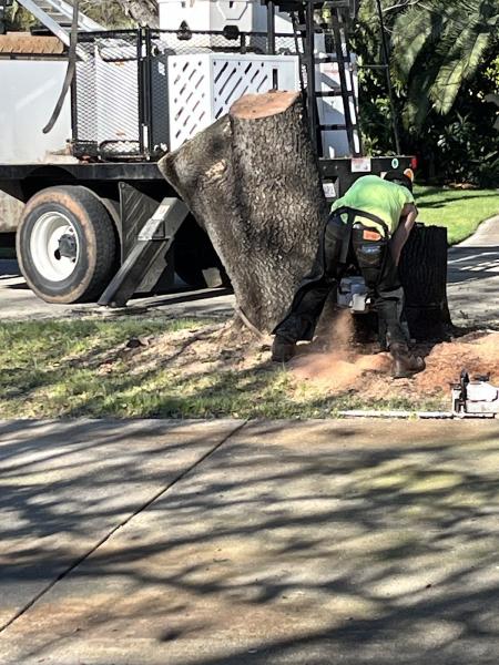 Redding Tree Service