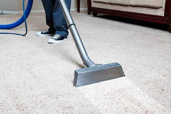 NBV Mott Haven Carpet Cleaning