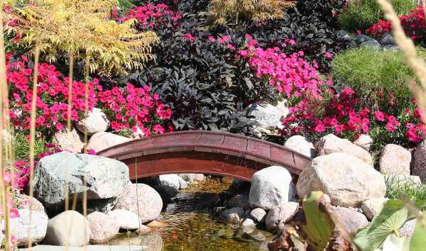 Chambers & Sons Landscaping