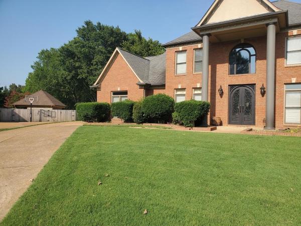 Diamond Lawn Care & Landscape LLC