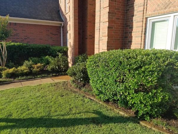 Diamond Lawn Care & Landscape LLC