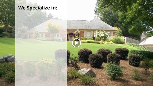 Absolute Lawn Pros