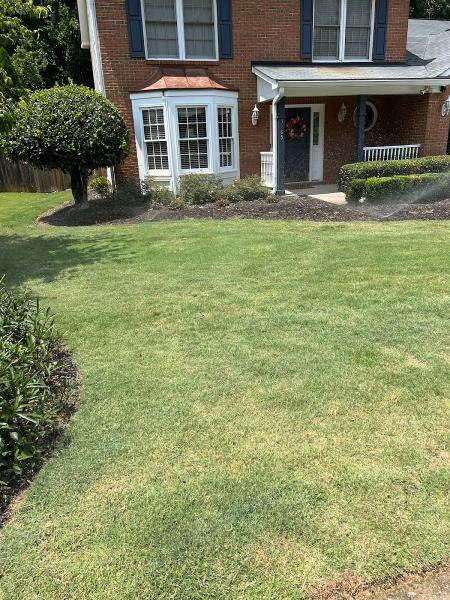 Absolute Lawn Pros