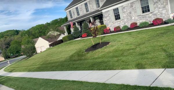 Karaki Landscaping