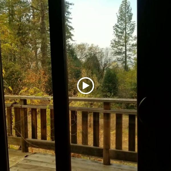 Cody's Windows