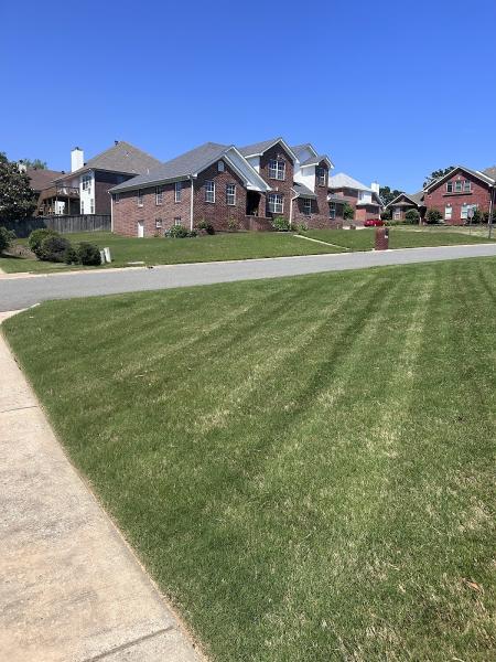Elite Grounds Lawn & Landscaping