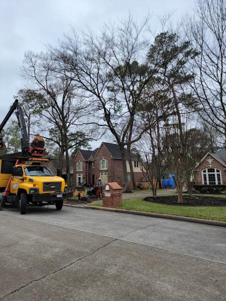 Beaver Tree Service