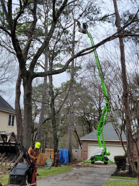 Beaver Tree Service