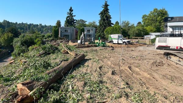 Snohomish Tree Company