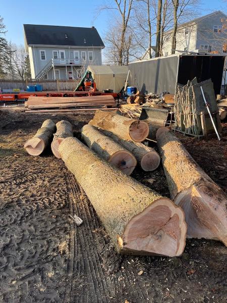Tree Services