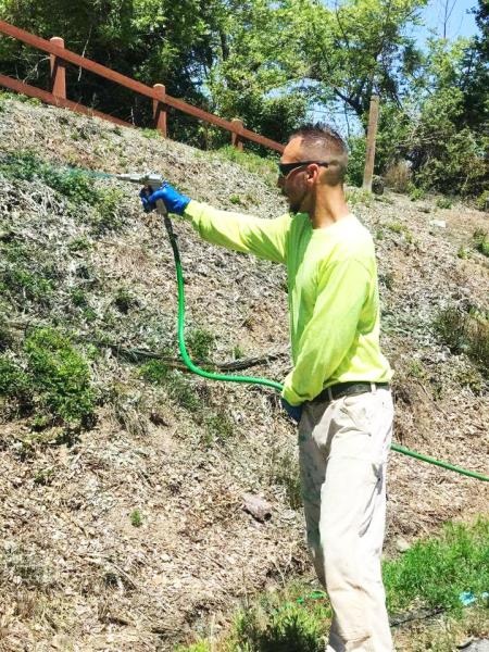 San Jose Yard Clean Up