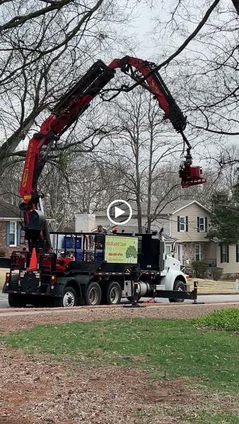Dixieland Tree Service