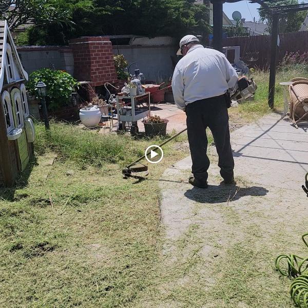 Francisco Gardening and Landscaping Services