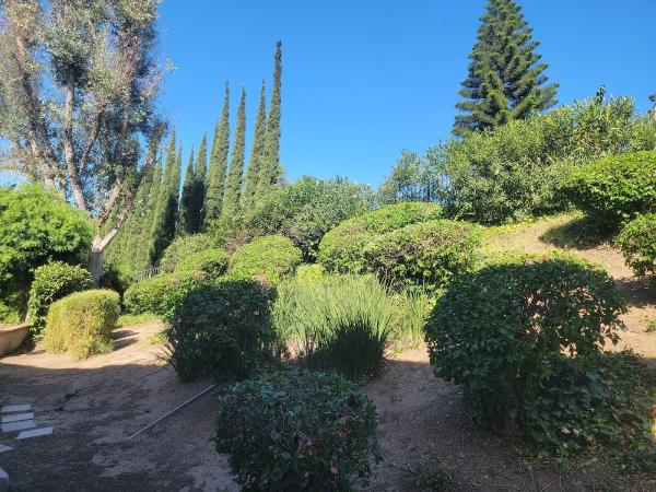 Francisco Gardening and Landscaping Services