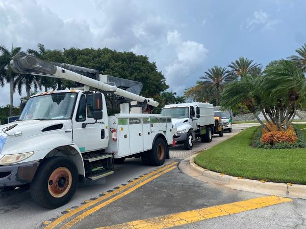 Broedell Landscape and Tree Care