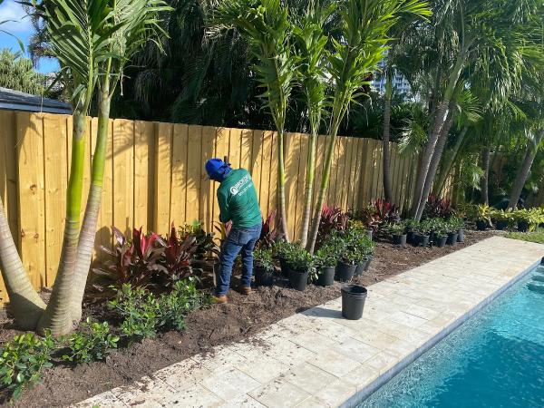 Broedell Landscape and Tree Care