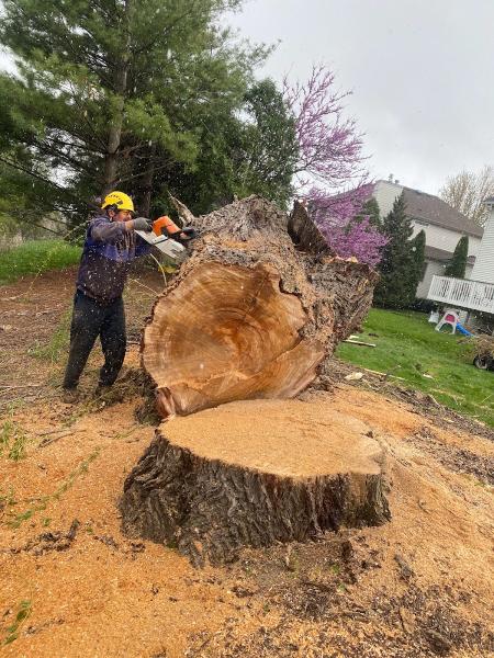 Brothers Tree Service
