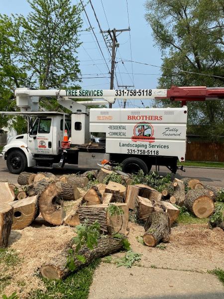 Brothers Tree Service