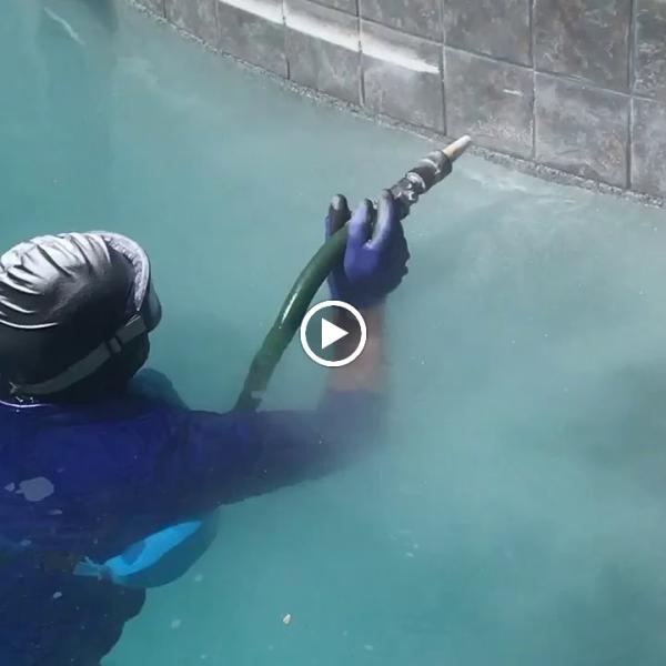 Blue Koi Pool Care