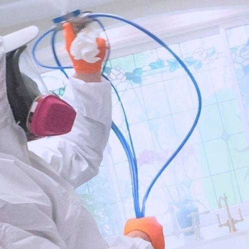 Strikes Mold Remediation