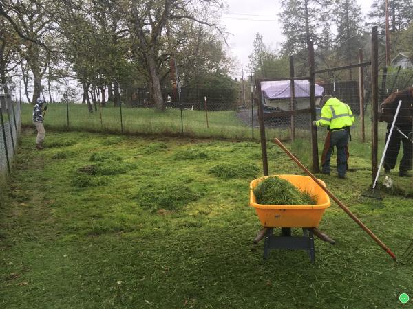 R. R. Lawn Care