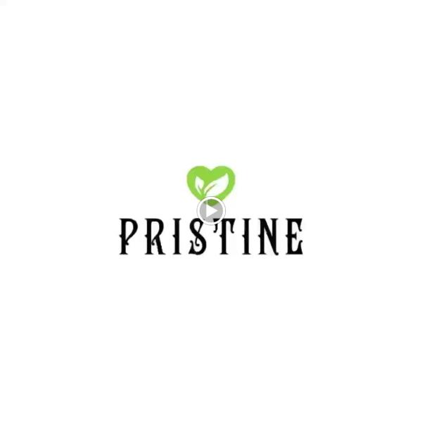 Pristine Remodeling