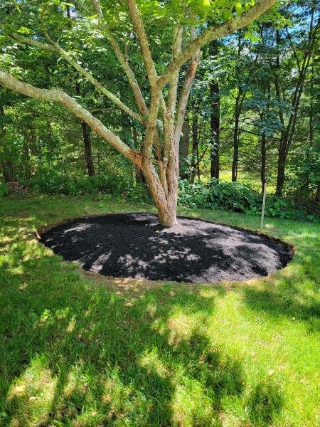 Lisandro's Landscaping & Construction