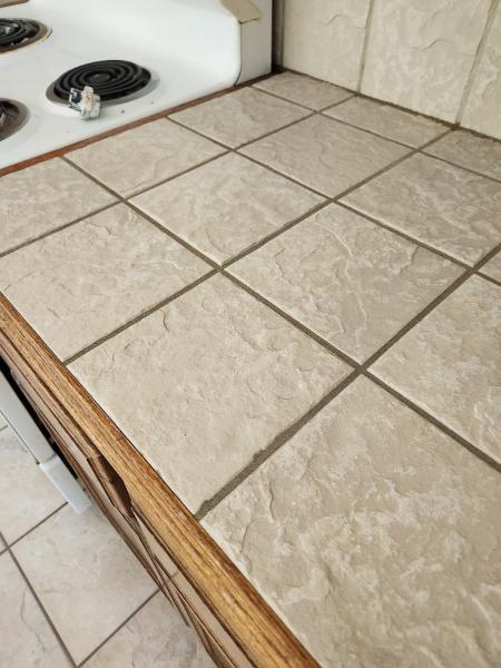 Clean and Dry Carpet Cleaning