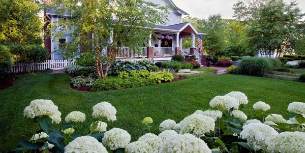Get Your Lawn Done Right