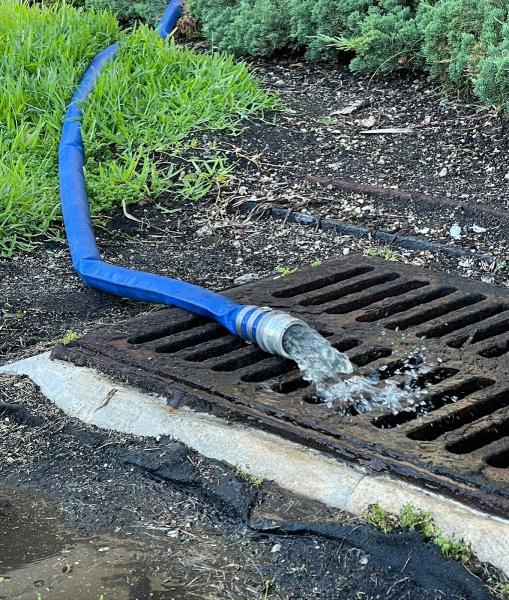 Premium Mitigation & Restoration