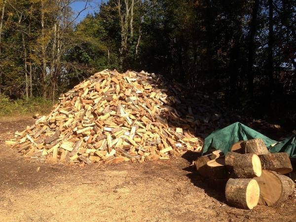 Hemlock Island Care Tree Service Plymouth