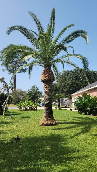 Tree Huggers Tree Service